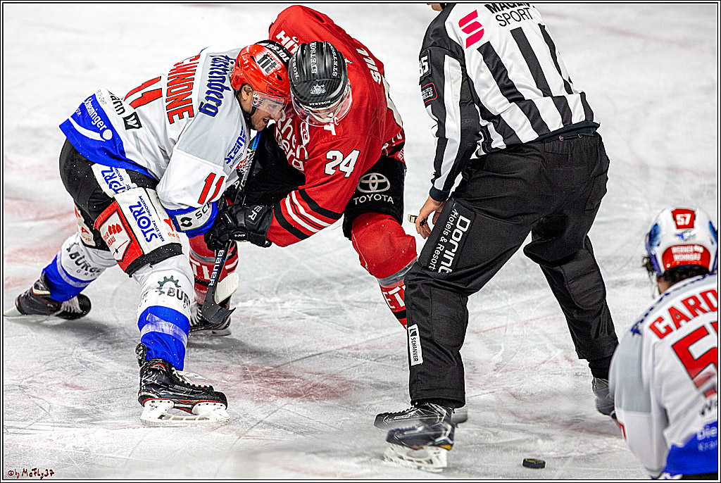 DEL;  Koelner Haie - Schwenninger Wild Wings; Koeln, 20.12.2019
